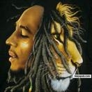 King of the Reggea