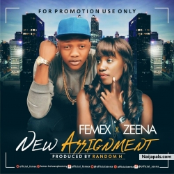 New Assignment by Femex X Zeena 