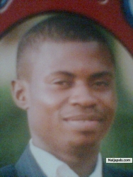 D world greatest