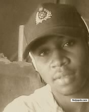 Holy Seed (holyseed4all)