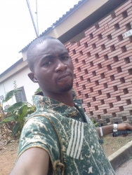 Femi Omonijo