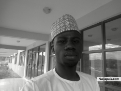 comrade mahmud inuwa (mahmud442)