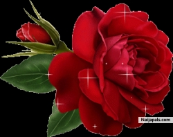 luv
