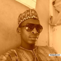 Hayatu umar (Binumar2013)
