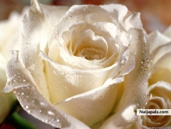 hope is there 4 me