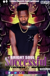 Succesfull by Brightsoul