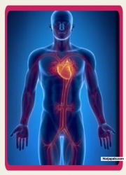 Heart Valve Replacement Surgery in Bangalore, India