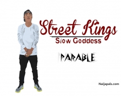 Controller cover by Parable