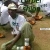 OLANIPEKUN DAYO TUNDE (deeoneney)