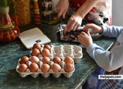 careful the eggs dont break while designing it for Easter game.