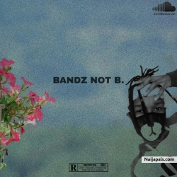 Bandz Not B by Fabian Dowski ft Nasty_C
