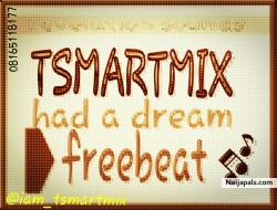 TsmartMix-had a dream free beat by Tsmart mix