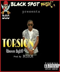torsion fierce fight by Torsion