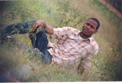 kareem lukman olakulehin