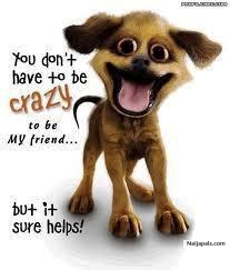 Mar Dog!