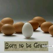 Born 2 SHINE