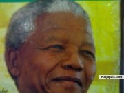 FREEDOM FIGHTER