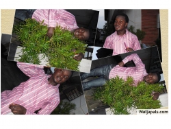 johnson Adeyemi (johnadeola)