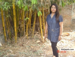 Shazida Khatun Assamese webmaster