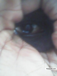 EYE OF GOD