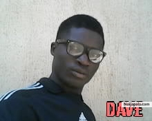David Japheth (david801)