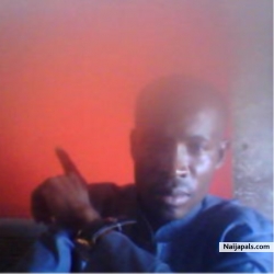 PRINCE  PIONERR (akacity)