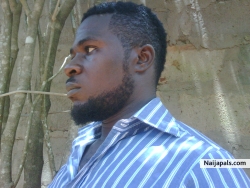 tchux kelly (scratch)