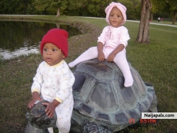 darius and desria