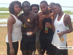picnic tinz