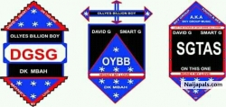 David g smart g design diz LOGO and give meaning  