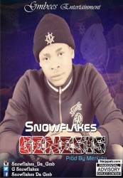 Snowflakes Gmbees (Gemini449)