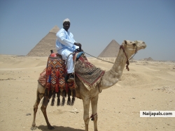 chillin kool in Gaza,,,d PYRAMIDS!!!
