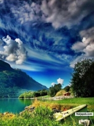 waseem tahir (waseemtahir)