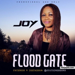 Flood Gate.mp3 by Joy