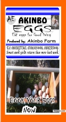 AKINBO FARM