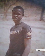no shaking