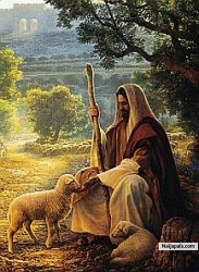 Good shepherd
