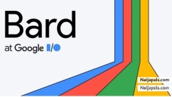 Google does not have my Google Record! [NAIJAPALS.COM] has and Registers!!