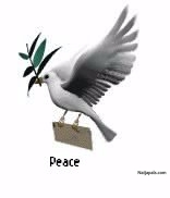A dove of peace