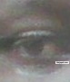My Picture