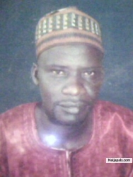 idris muhammad rabiu (idrismr)