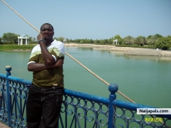 My Picture