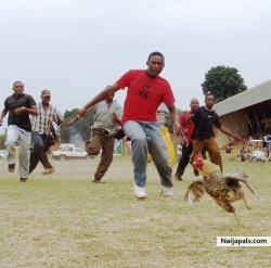 cock chase!