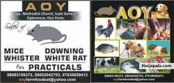 ATOYEBI