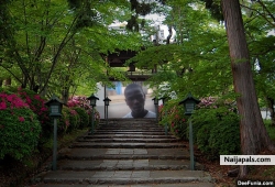 linford.ofori (ford2010)