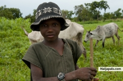 thesame age as the cow? (guesss!!)