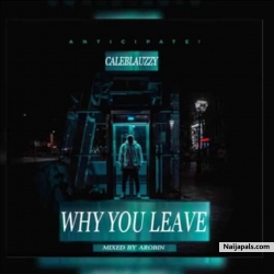 why you leave by caleblauzzy 
