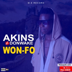 Wonfo by Akins Ft Donwake