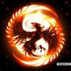 The Flame ... The Phoenix