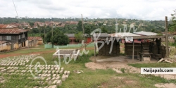 ayisi benjamin (benayi)